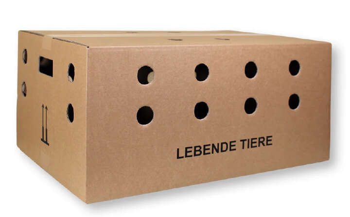 Transportbox Lebende Tiere